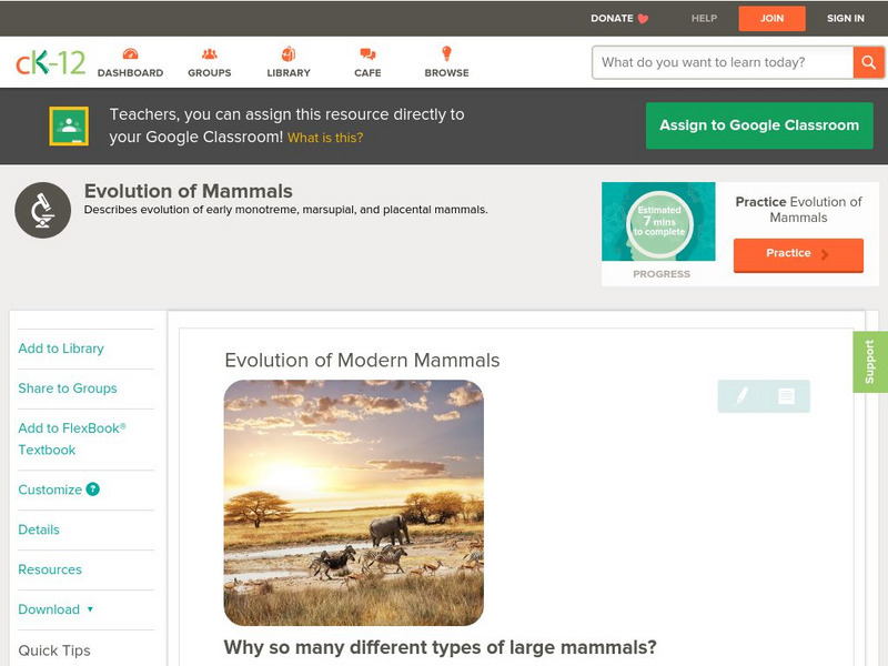 Ck 12: Biology: Evolution of Modern Mammals Unit Plan Ck 12: Biology: Evolution of Modern Mammals Unit Plan