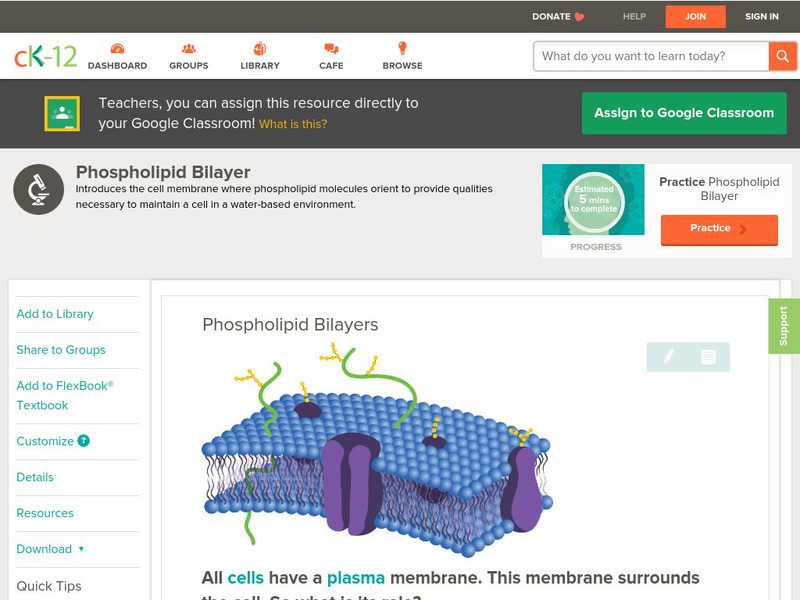 Ck 12: Biology: Phospholipid Bilayers Unit Plan Ck 12: Biology: Phospholipid Bilayers Unit Plan