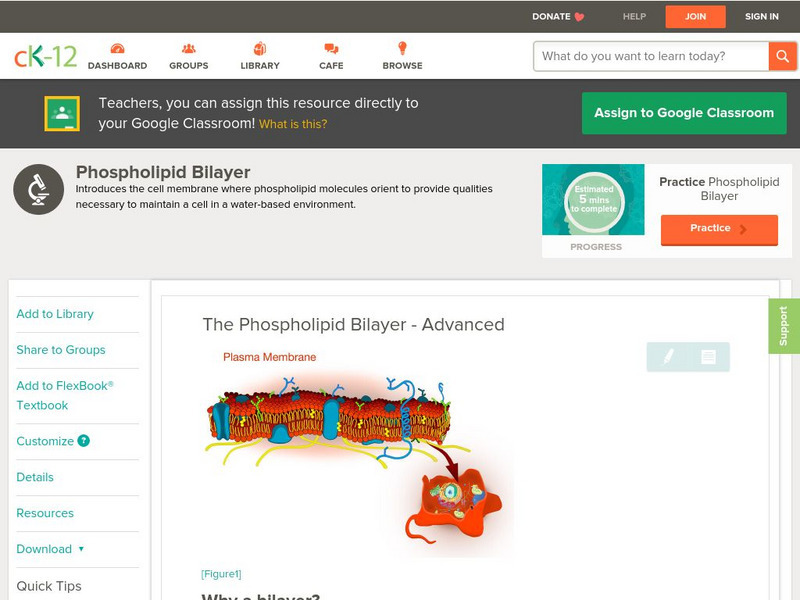 Ck 12: Biology: Phospholipid Bilayers Unit Plan Ck 12: Biology: Phospholipid Bilayers Unit Plan