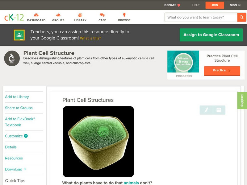 Ck 12: Biology: Plant Cell Structures Unit Plan Ck 12: Biology: Plant Cell Structures Unit Plan
