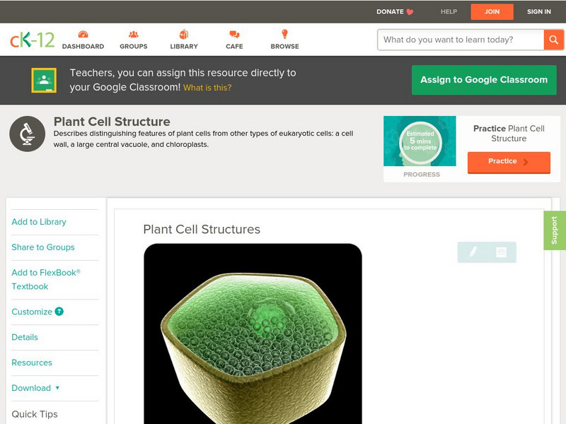 Ck 12: Biology: Plant Cell Structures Unit Plan Ck 12: Biology: Plant Cell Structures Unit Plan