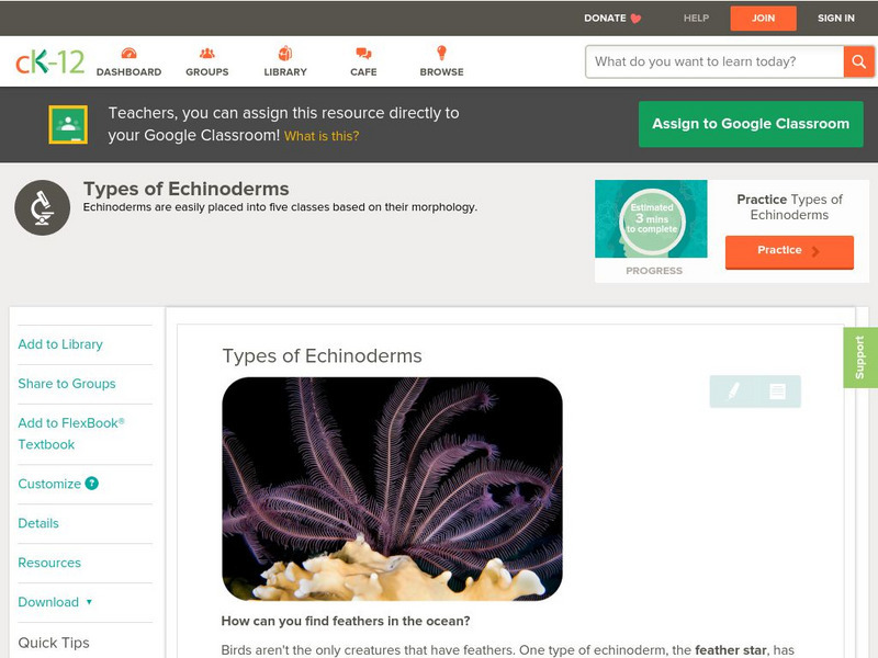 Ck 12: Life Science: Types of Echinoderms Unit Plan Ck 12: Life Science: Types of Echinoderms Unit Plan