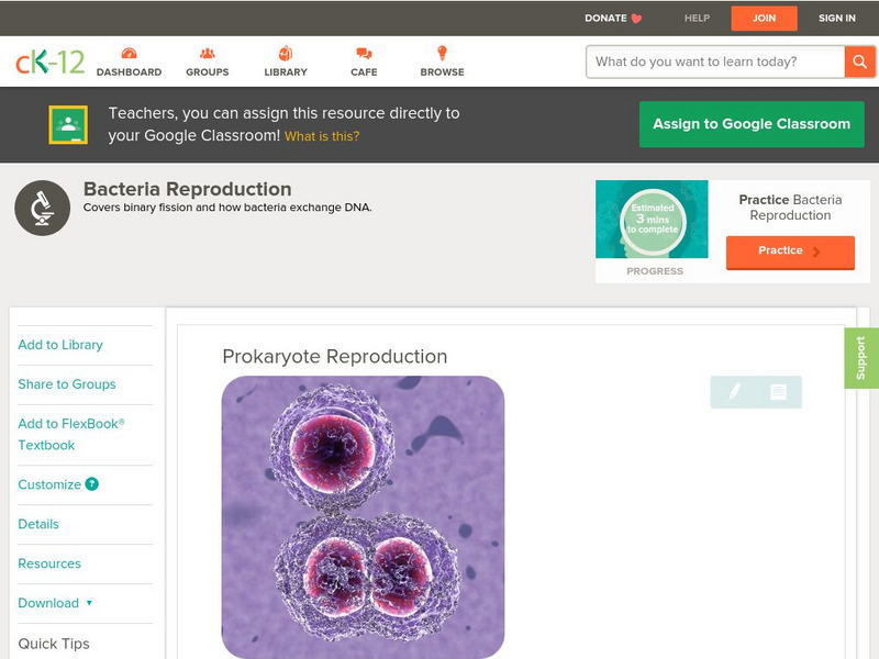 Ck 12: Biology: Prokaryote Reproduction Unit Plan