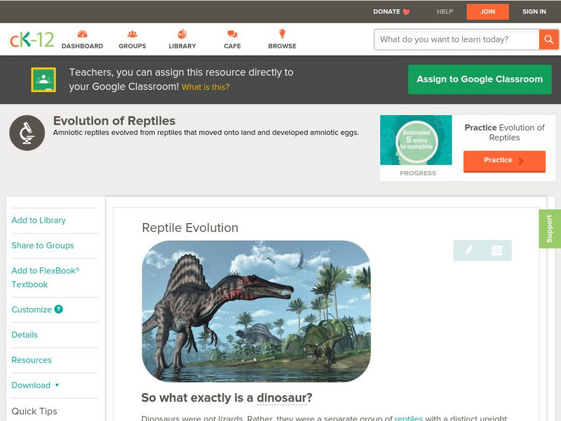 Ck 12: Biology: Reptile Evolution Unit Plan Ck 12: Biology: Reptile Evolution Unit Plan