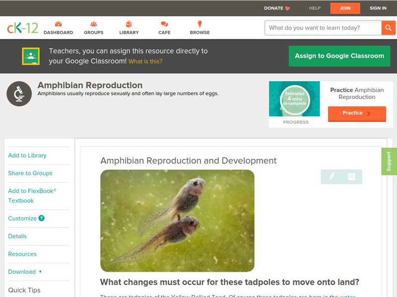 Ck 12: Biology: Amphibian Reproduction and Development Unit Plan Ck 12: Biology: Amphibian Reproduction and Development Unit Plan