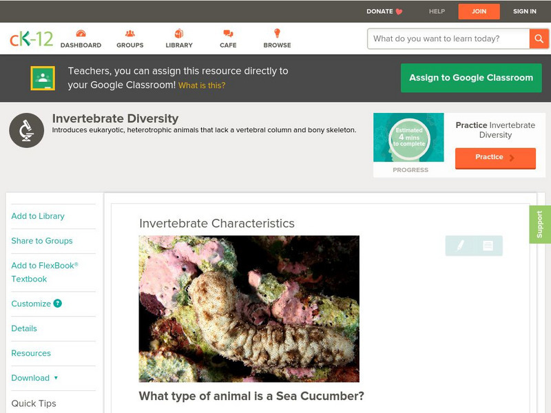 Ck 12: Biology: Invertebrate Characteristics Unit Plan Ck 12: Biology: Invertebrate Characteristics Unit Plan