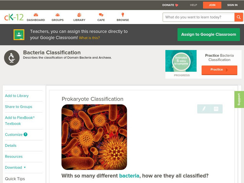 Ck 12: Biology: Prokaryote Classification Unit Plan Ck 12: Biology: Prokaryote Classification Unit Plan