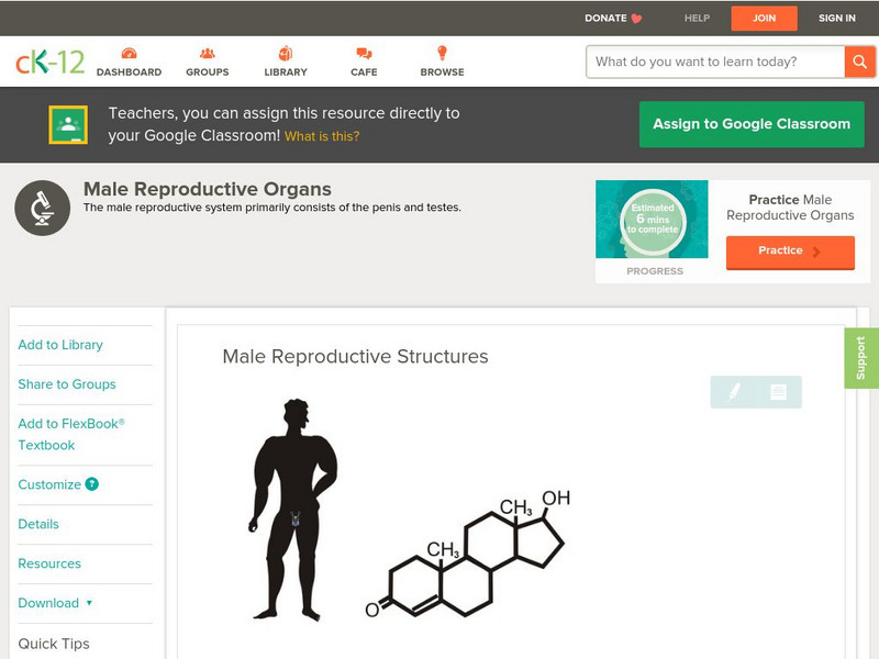 Ck 12: Biology: Male Reproductive Structures Unit Plan Ck 12: Biology: Male Reproductive Structures Unit Plan
