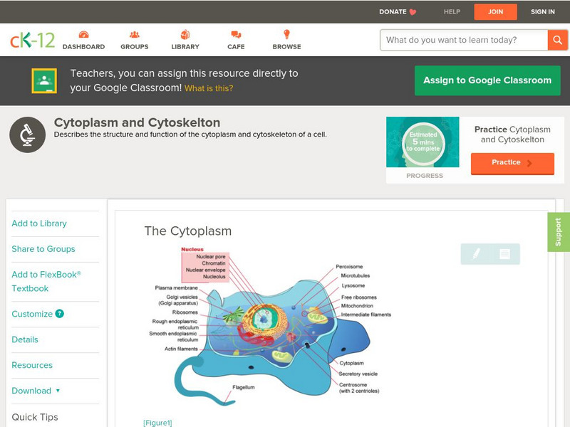 Ck 12: Biology: Cytoplasm and Cytoskeletons Unit Plan