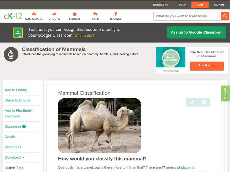 Ck 12: Biology: Mammal Classification Unit Plan
