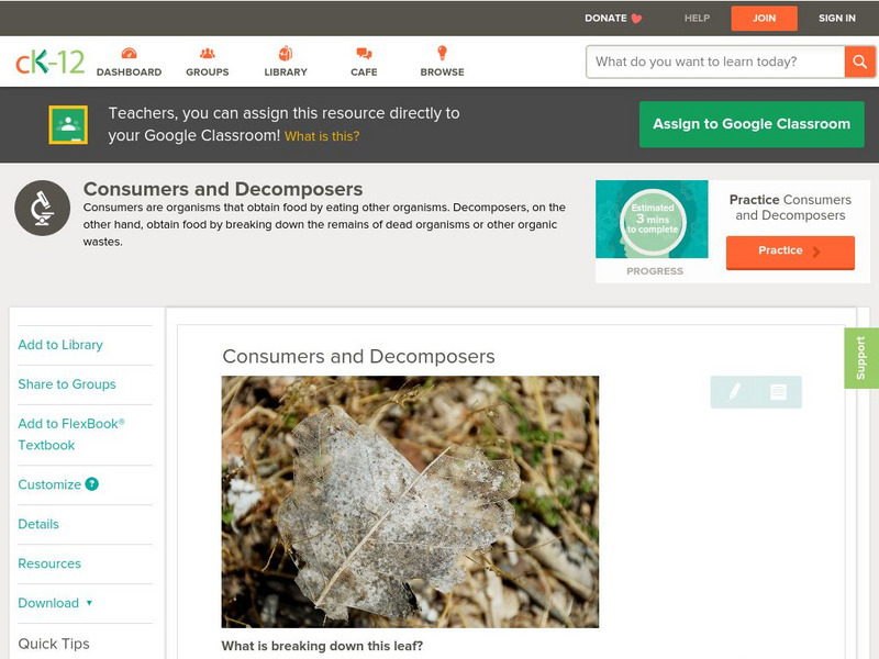 Ck 12: Life Science: Consumers and Decomposers Unit Plan Ck 12: Life Science: Consumers and Decomposers Unit Plan