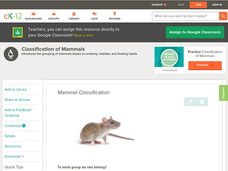 Ck 12: Life Science: Mammal Classification Unit Plan Ck 12: Life Science: Mammal Classification Unit Plan