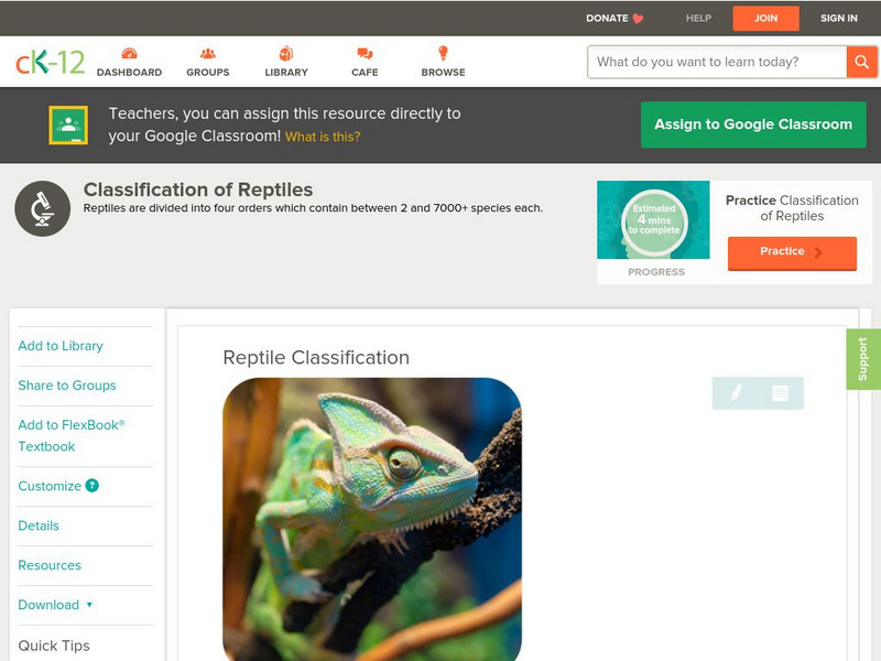 Ck 12: Biology: Reptile Classification Unit Plan Ck 12: Biology: Reptile Classification Unit Plan