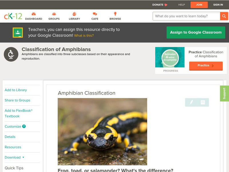 Ck 12: Biology: Amphibian Classification Unit Plan Ck 12: Biology: Amphibian Classification Unit Plan