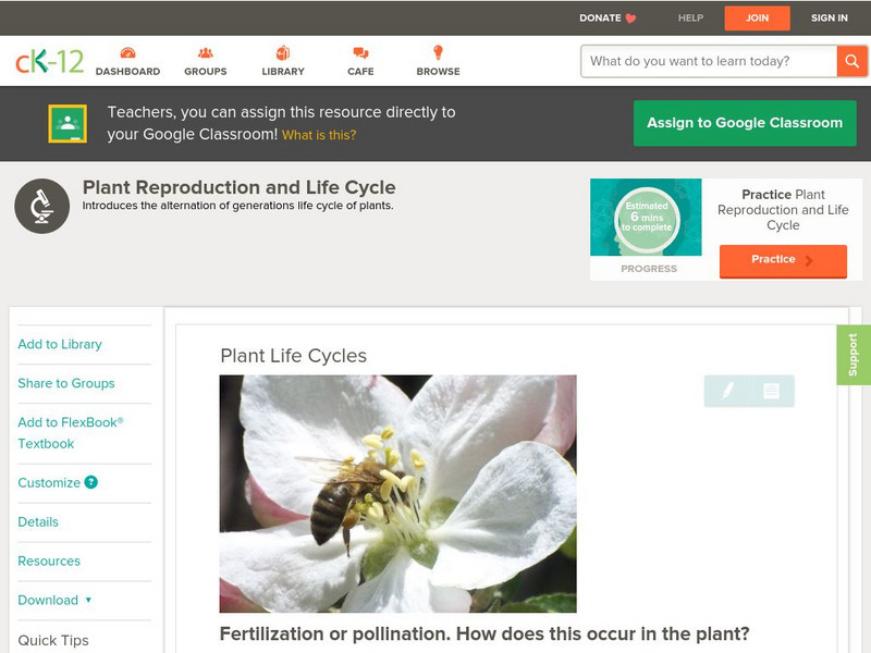 Ck 12: Biology: Plant Life Cycles Unit Plan Ck 12: Biology: Plant Life Cycles Unit Plan