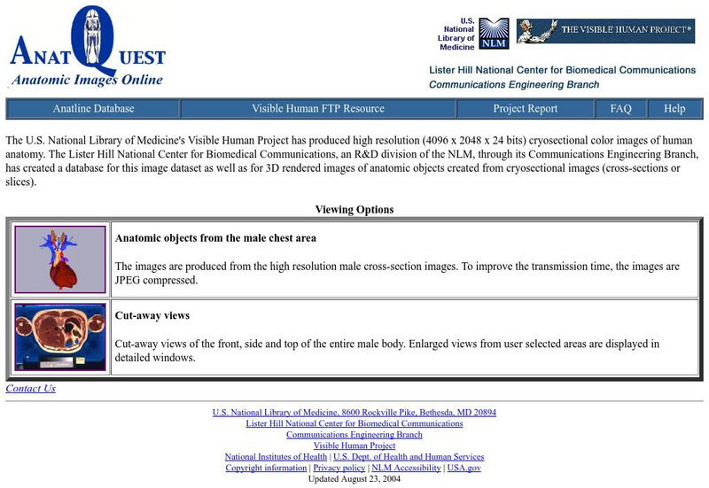 Visible Human Project: Anatomic Images Online Website Visible Human Project: Anatomic Images Online Website