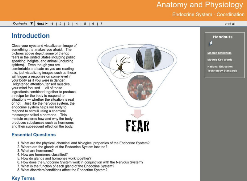 Ga Virtual Learning: Anatomy and Physiology: Endocrine System Unit Plan Ga Virtual Learning: Anatomy and Physiology: Endocrine System Unit Plan