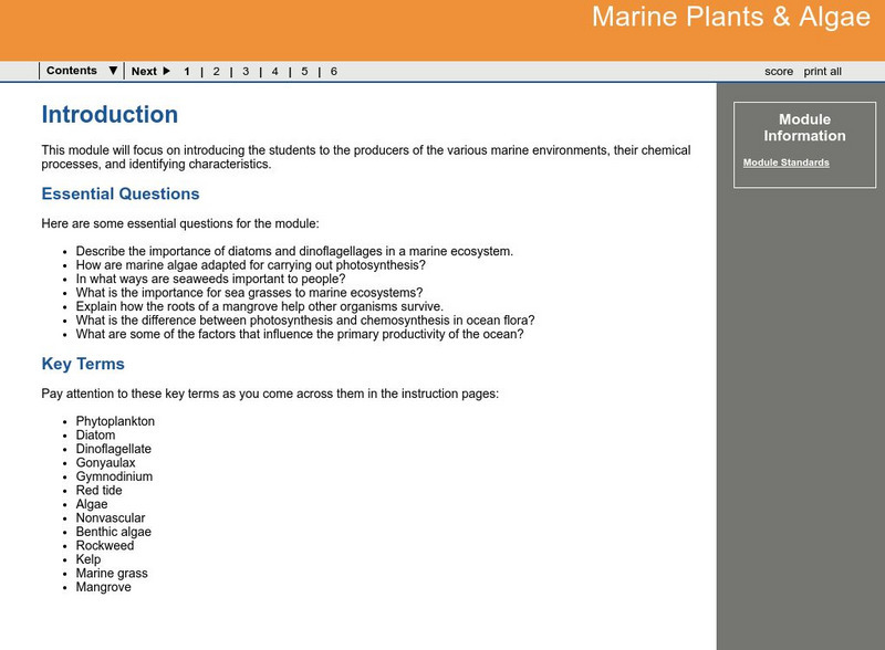 Ga Virtual Learning: Marine Plants & Algae Unit Plan Ga Virtual Learning: Marine Plants & Algae Unit Plan
