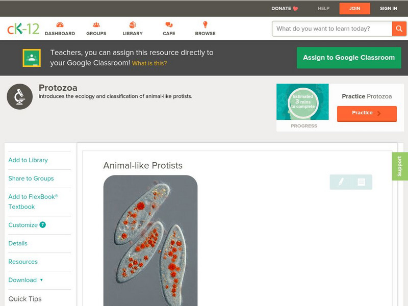Ck 12: Life Science: Animal Like Protists Unit Plan Ck 12: Life Science: Animal Like Protists Unit Plan