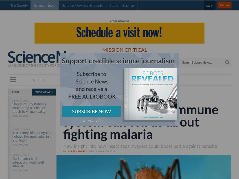 What a Mosquito's Immune System Can Tell Us About Fighting Malaria Article What a Mosquito's Immune System Can Tell Us About Fighting Malaria Article