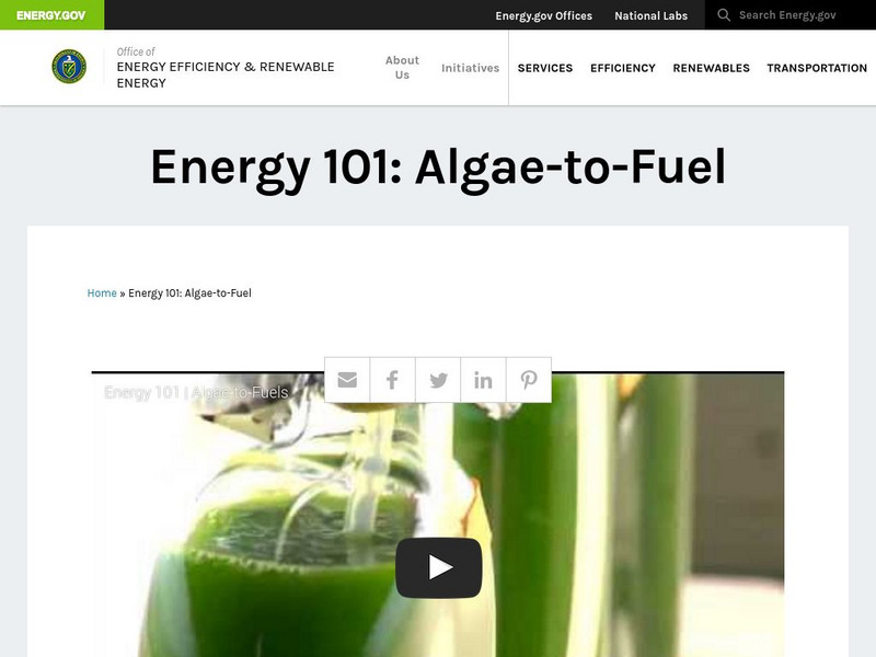 U.s. Department of Energy: Energy 101: Algae to Fuels Instructional Video