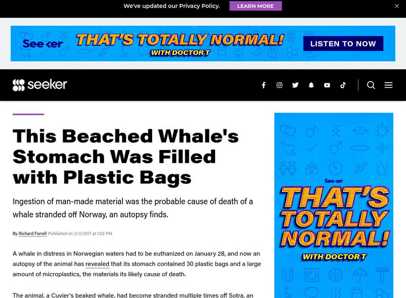 Seeker: This Beached Whale's Stomach Was Filled With Plastic Bags Article Seeker: This Beached Whale's Stomach Was Filled With Plastic Bags Article