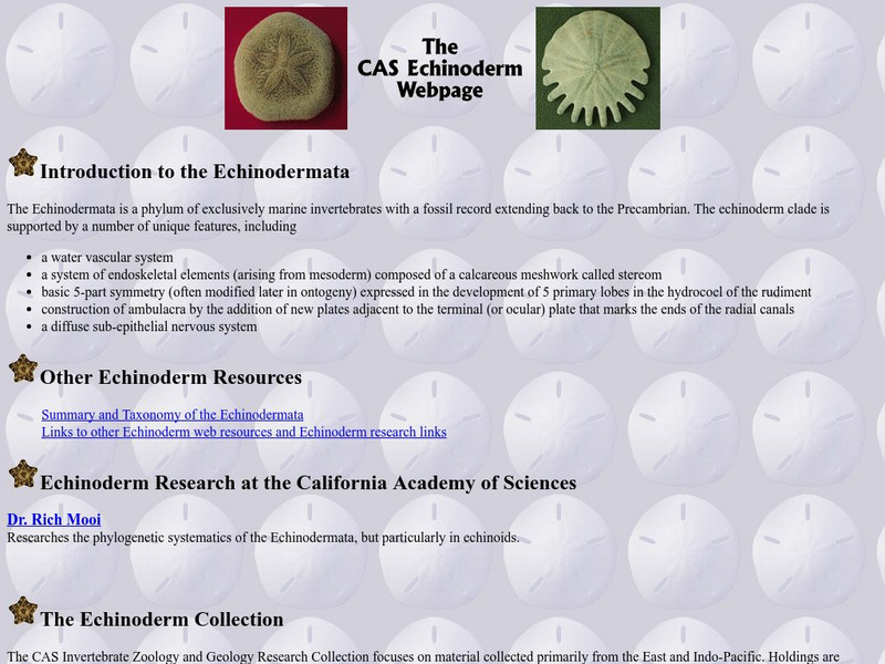 California Academy of Sciences: Echinoderm Webpage Website California Academy of Sciences: Echinoderm Webpage Website