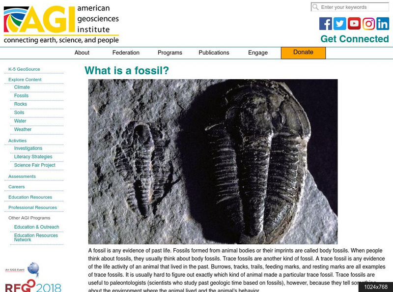 American Geosciences Institute: What Is a Fossil? Article American Geosciences Institute: What Is a Fossil? Article