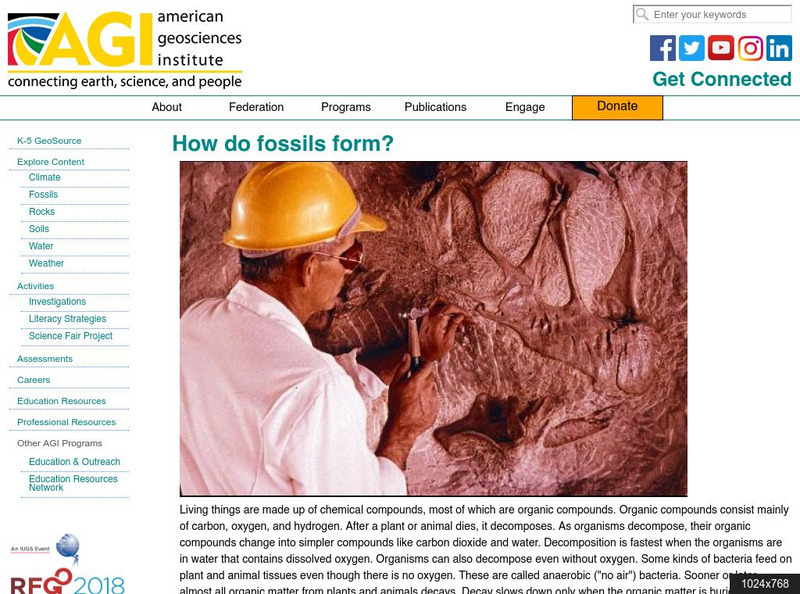 American Geosciences Institute: How Do Fossils Form? Article American Geosciences Institute: How Do Fossils Form? Article