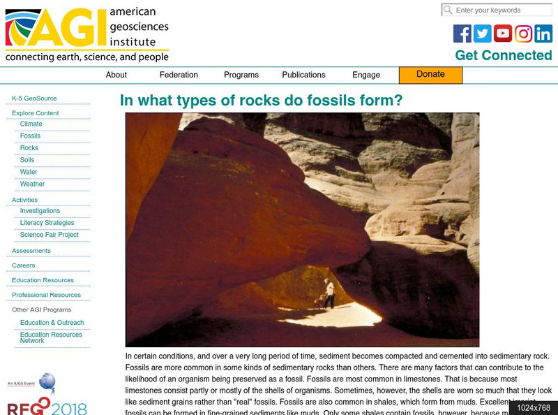 American Geosciences Institute: In What Types of Rocks Do Fossils Form? Article American Geosciences Institute: In What Types of Rocks Do Fossils Form? Article