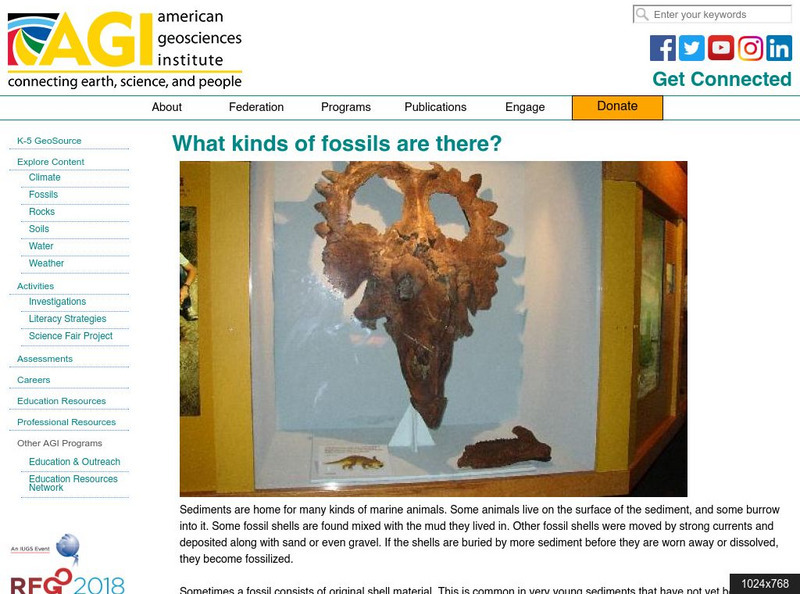 American Geosciences Institute: What Kinds of Fossils Are There? Article American Geosciences Institute: What Kinds of Fossils Are There? Article