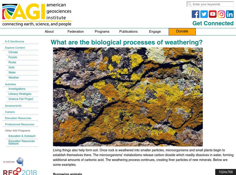 American Geosciences Institute: What Are the Biological Processes of Weathering? Article American Geosciences Institute: What Are the Biological Processes of Weathering? Article