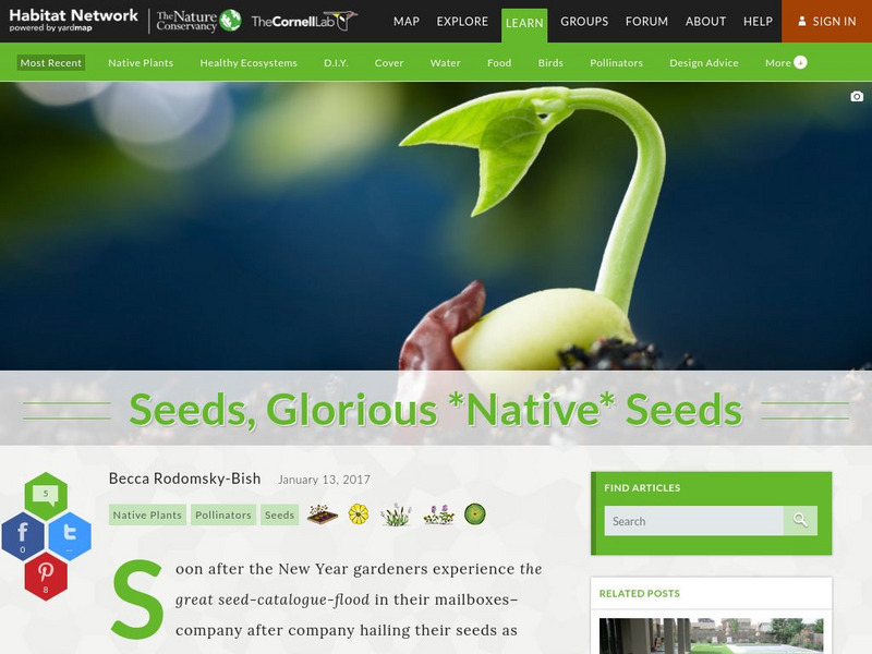 Habitat Network: Seeds, Glorious Native Seeds Article Habitat Network: Seeds, Glorious Native Seeds Article