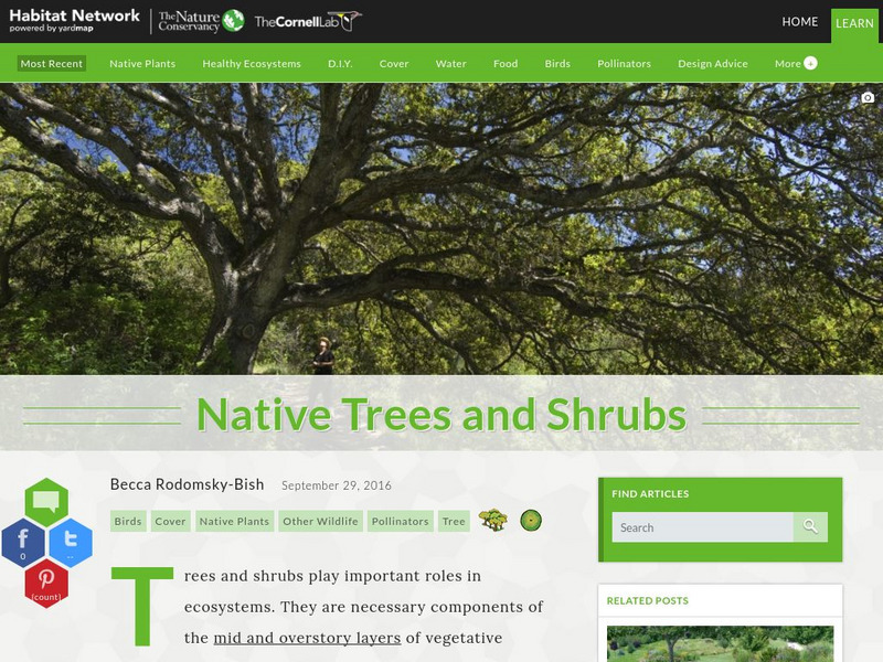Habitat Network: Native Trees and Shrubs Activity Habitat Network: Native Trees and Shrubs Activity