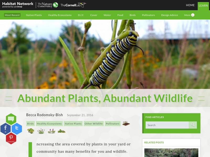 Habitat Network: Abundant Plants, Abundant Wildlife Activity Habitat Network: Abundant Plants, Abundant Wildlife Activity