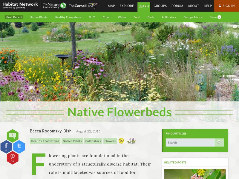 Habitat Network: Native Flowerbeds Article Habitat Network: Native Flowerbeds Article