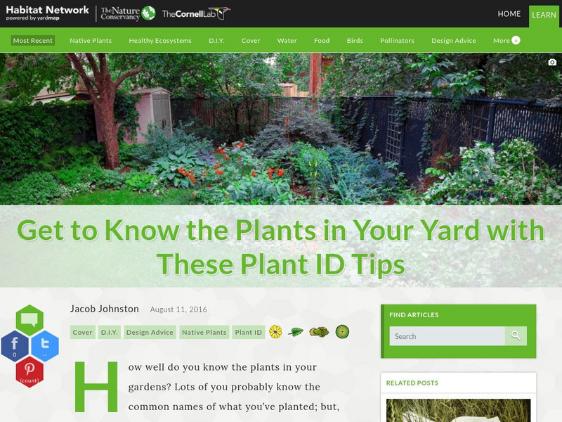 Habitat Network: Get to Know the Plants in Your Yard With These Plant Id Tips Article Habitat Network: Get to Know the Plants in Your Yard With These Plant Id Tips Article