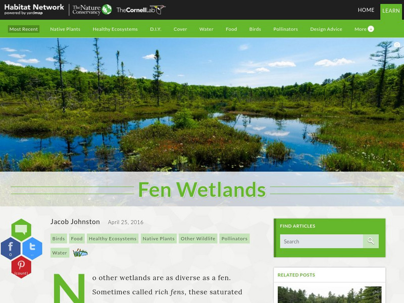 Habitat Network: Fen Wetlands Article Habitat Network: Fen Wetlands Article