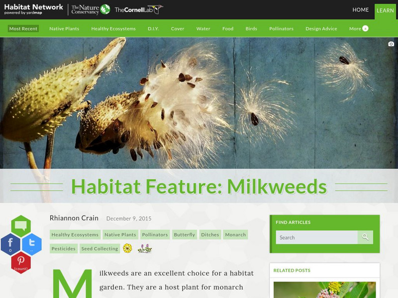 Habitat Network: Habitat Feature: Milkweeds Article Habitat Network: Habitat Feature: Milkweeds Article