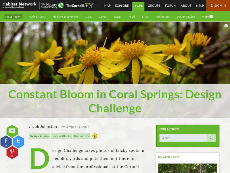 Habitat Network: Constant Bloom in Coral Springs: Design Challenge Article Habitat Network: Constant Bloom in Coral Springs: Design Challenge Article