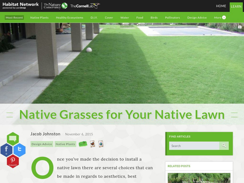 Habitat Network: Native Grasses for Your Native Lawn Interactive Habitat Network: Native Grasses for Your Native Lawn Interactive