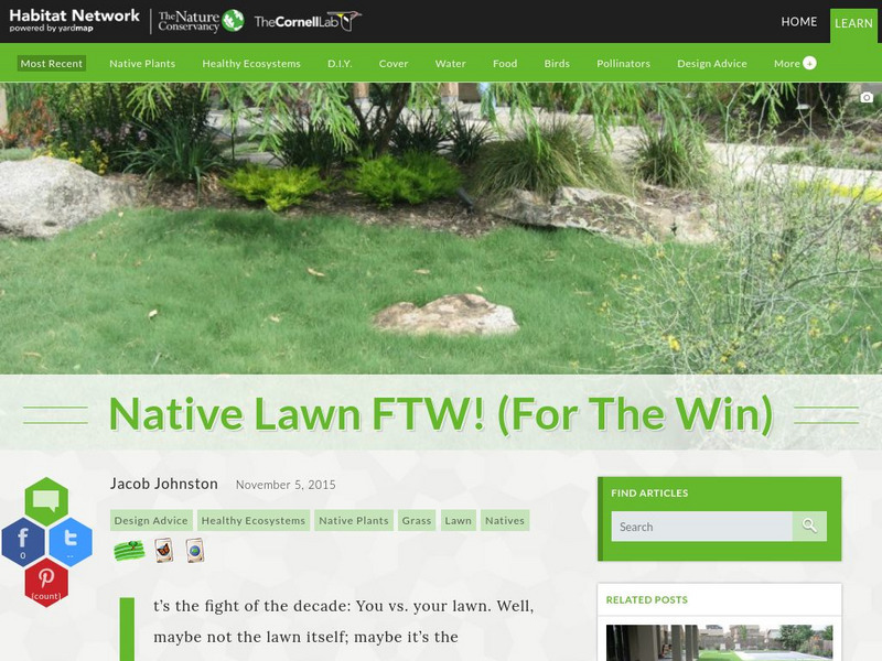Habitat Network: Native Lawn Ftw! (For the Win) Article Habitat Network: Native Lawn Ftw! (For the Win) Article