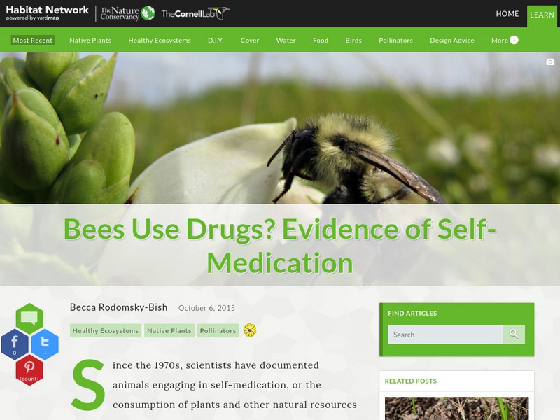 Habitat Network: Bees Use Drugs? Evidence of Self Medication Article Habitat Network: Bees Use Drugs? Evidence of Self Medication Article