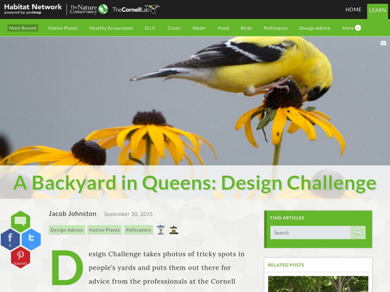 Habitat Network: A Backyard in Queens: Design Challenge Article Habitat Network: A Backyard in Queens: Design Challenge Article