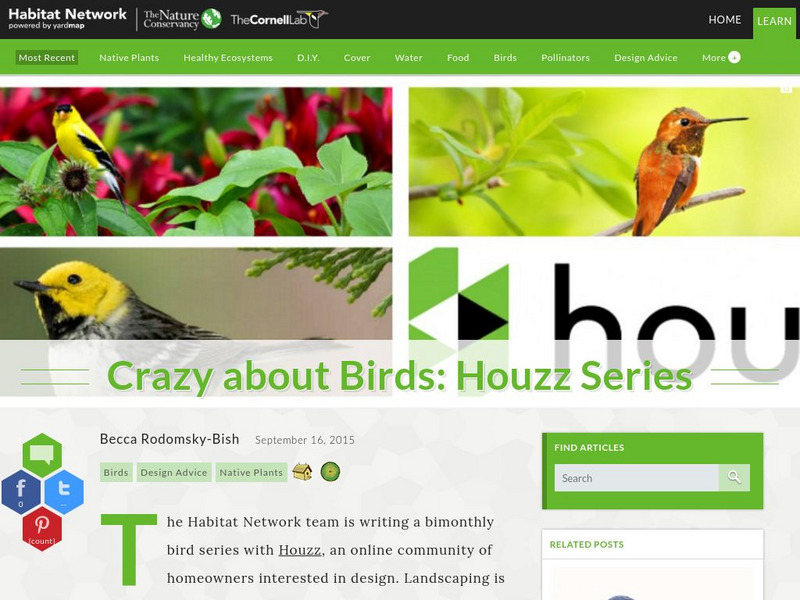 Habitat Network: Crazy About Birds: Houzz Series Article Habitat Network: Crazy About Birds: Houzz Series Article
