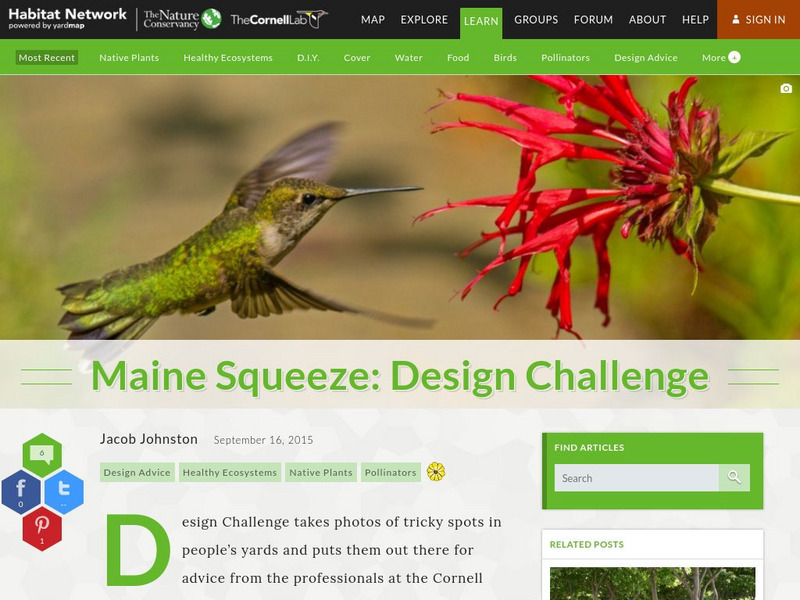 Habitat Network: Maine Squeeze: Design Challenge Article Habitat Network: Maine Squeeze: Design Challenge Article