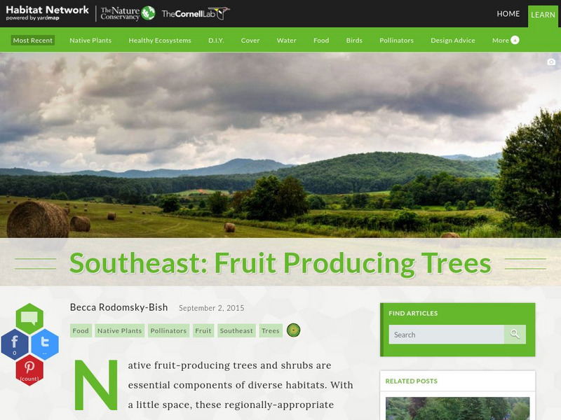 Habitat Network: Southeast: Fruit Producing Trees Article Habitat Network: Southeast: Fruit Producing Trees Article