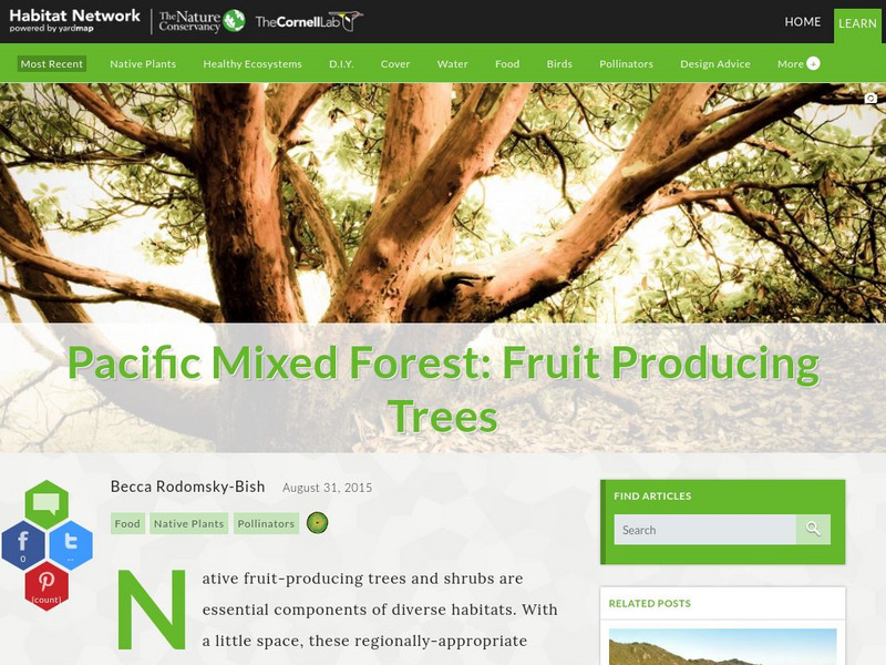 Habitat Network: Pacific Mixed Forest: Fruit Producing Trees Article Habitat Network: Pacific Mixed Forest: Fruit Producing Trees Article