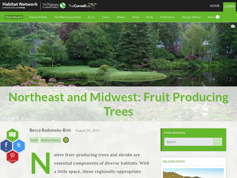 Habitat Network: Northeast and Midwest: Fruit Producing Trees Article Habitat Network: Northeast and Midwest: Fruit Producing Trees Article