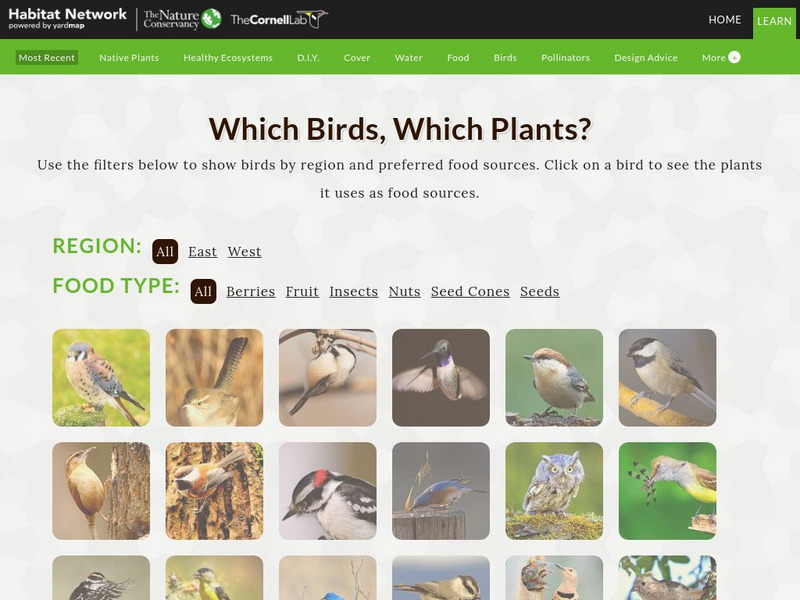 Habitat Network: Which Birds, Which Plants? Interactive Habitat Network: Which Birds, Which Plants? Interactive